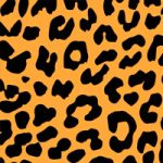 Animal Print - Onça