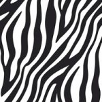 Animal Print - Zebra